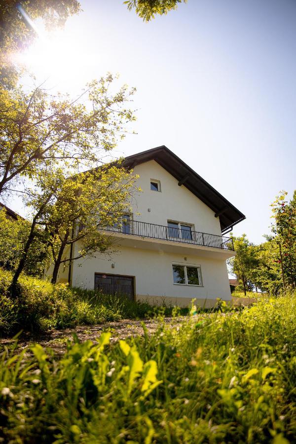 Elegant House In A Beautiful Village Cerklje ob Krki Exterior foto